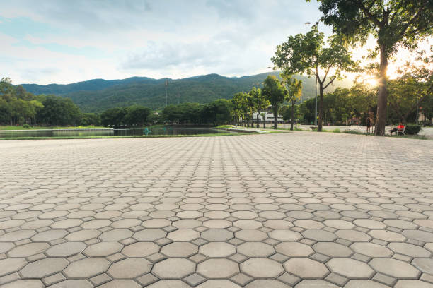 Best Residential Driveway Paver Services  in Garden City, NY